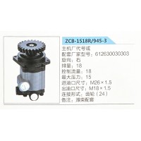 轉(zhuǎn)向助力泵，助力泵，液壓泵，葉片泵ZCB-1518R-945-3，612630030303