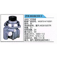 转向助力泵，助力泵，液压泵，叶片泵ZYB-0024R-350-3，WG9731471025
