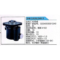 转向助力泵，助力泵，液压泵，叶片泵ZYB-1313L-245-3，G0340030012A0