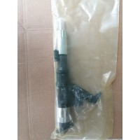 VG12460080051/0950008011 喷油器  供应重汽豪沃 T7H T5G 汕德卡