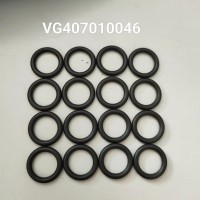 VG407010046  密封圈  缸體