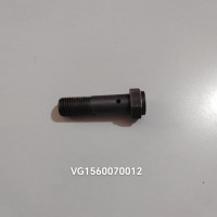 VG1560070012空心螺絲
