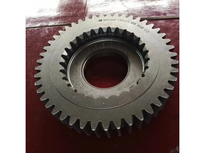 8DS240A-1701115/459320145   二轴五档齿轮