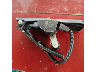 NXG37WLFW6B1-35220   电子油门踏板总成