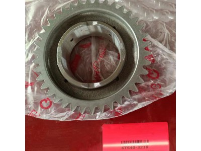 6TS40-3210A1   二档齿轮