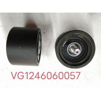 張緊輪VG1246060057
