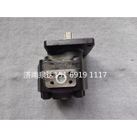 徐工重卡寬體車轉(zhuǎn)向泵齒輪泵轉(zhuǎn)向泵組件