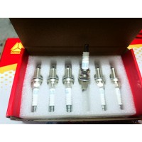 重汽國五7U4DN火花塞