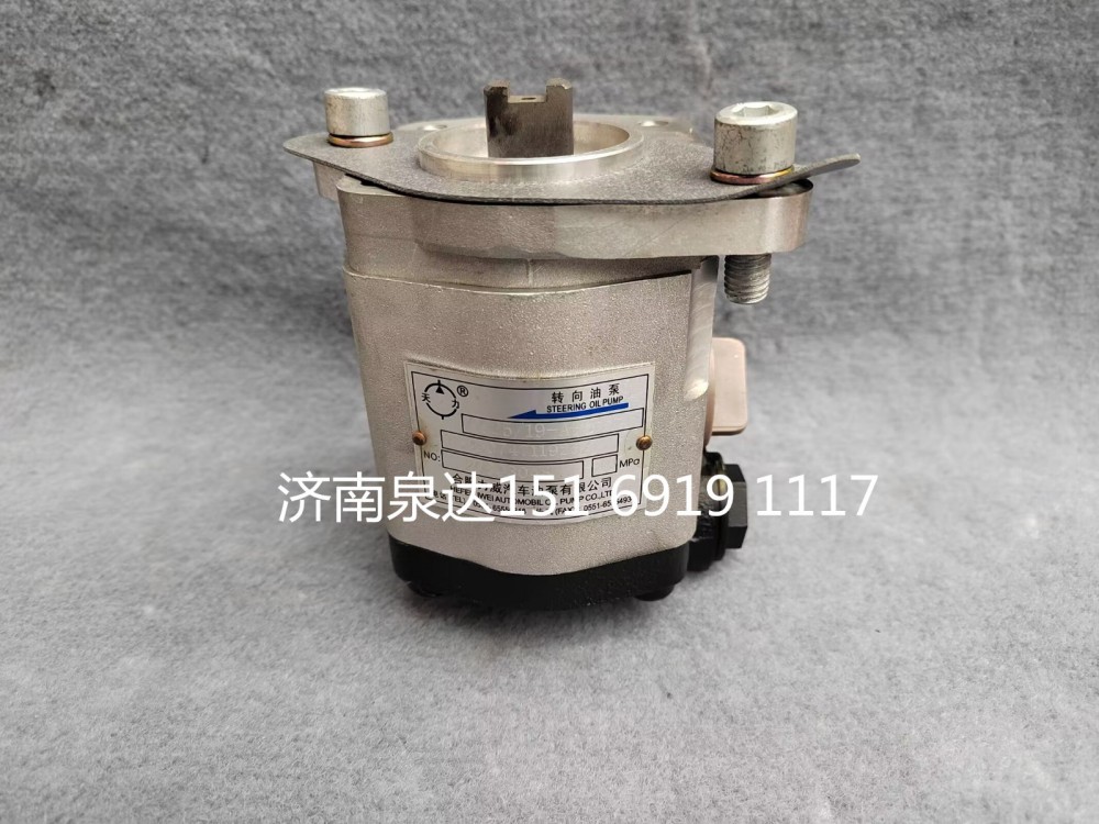 TG25074711925,转向助力泵,济南泉达汽配有限公司