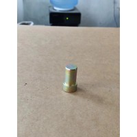 199000520006  导向销 （前簧下支架用） 供应重汽豪沃 斯太尔 汕德卡 采埃孚 zf卡车配件