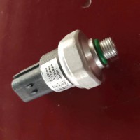 DZ13241840601壓力開(kāi)關(guān)