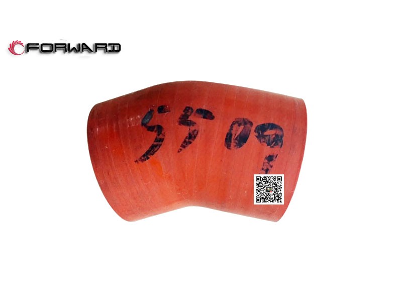 DZ93259535509  内氟外硅胶管/DZ93259535509