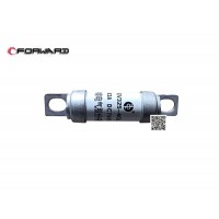 EV325-4GL 熔断器 63A