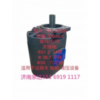 適用運糧車船舶工程機械工作泵轉(zhuǎn)向泵齒輪泵行走泵液壓泵
