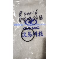 R3001016 O型密封圈  G2、H9甲醇   新能源   華菱重卡  星凱馬  漢馬 華駿