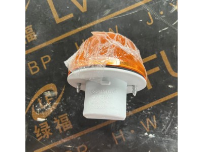 811W25320-6011   侧转向灯总成