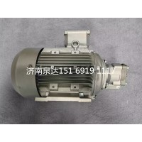 上海申沃电动液压转向助力泵总成液压泵电机泵