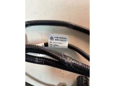 AZ962277100271/左前围线（汕德卡提升/2021款）