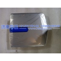 39MN2506-21013前車標   華菱  星凱馬  漢馬 甲醇 新能源 G2