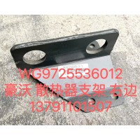 豪沃散熱器支架 右WG9725536012