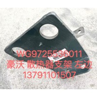 豪沃散熱器支架 左WG9725536011