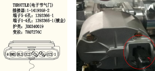 微信图片_20240614092800