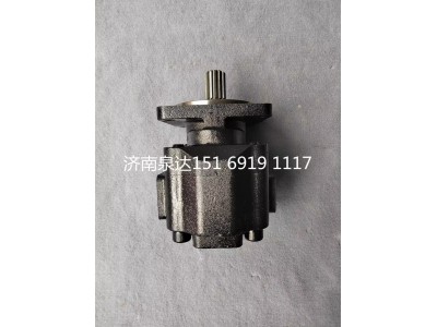 15169191117,转向助力泵,济南泉达汽配有限公司
