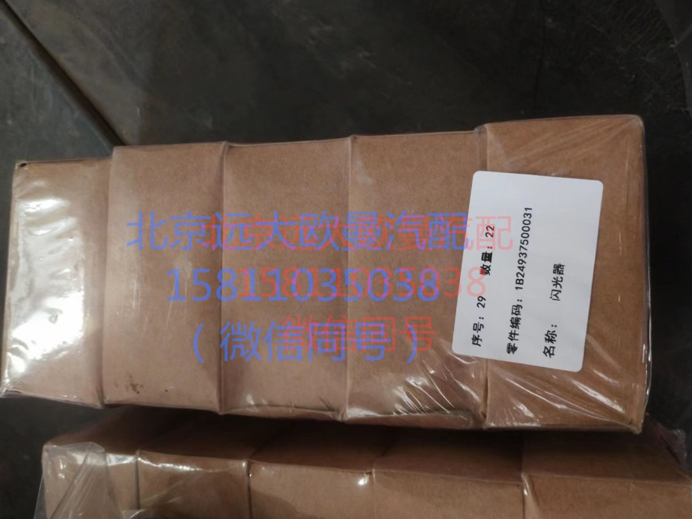 1B24937500031閃光器/1B24937500031