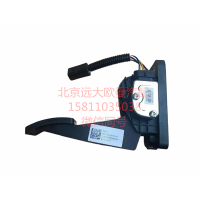 H0117030005A0电子油门踏板总成