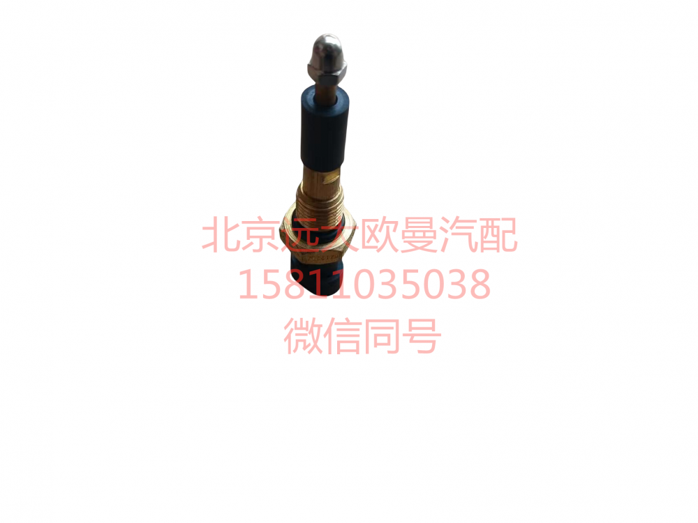 H0366080003A0,水位报警开关,北京远大汽车配件有限公司