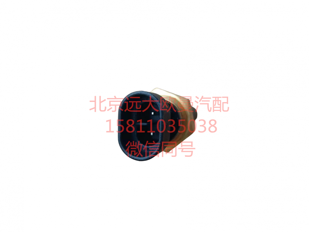 H0366080003A0,水位报警开关,北京远大汽车配件有限公司