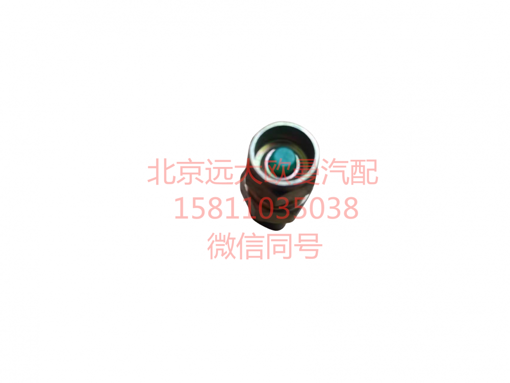 H0366080008A0,发动机副熄火开关,北京远大汽车配件有限公司