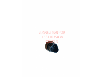 H0366080008A0,发动机副熄火开关,北京远大汽车配件有限公司