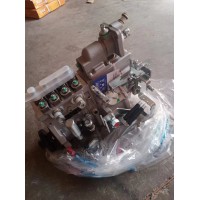 玉柴發(fā)動機高壓油泵總成D10LD-1111100A-493R，2450元