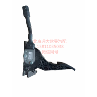 H411700000008电子油门踏板总成图2