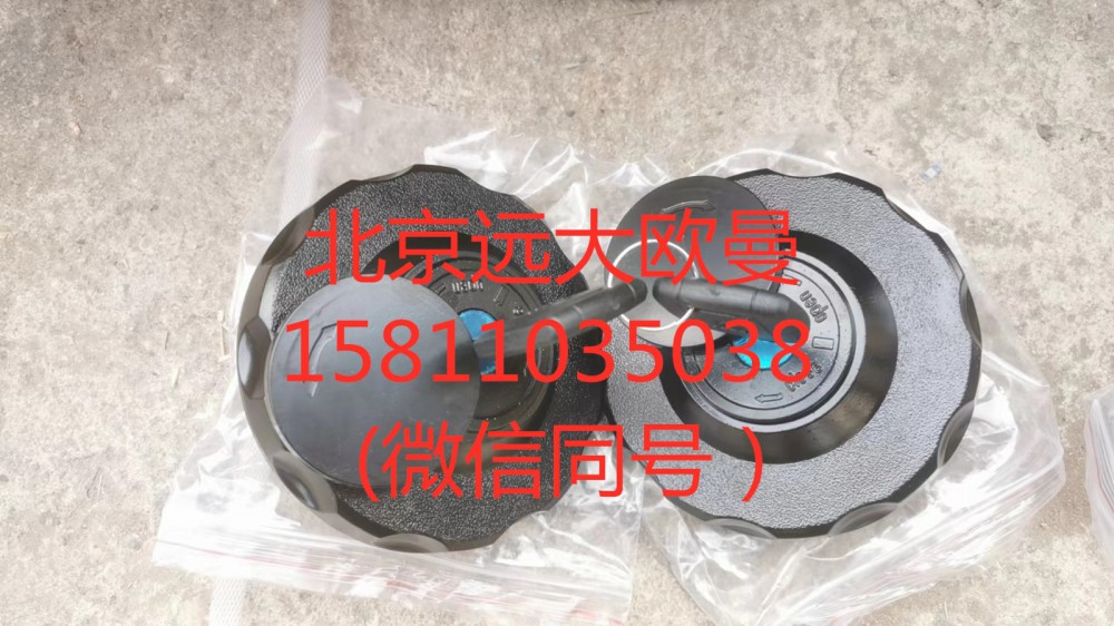 H4110030300A0,双油箱盖,北京远大汽车配件有限公司