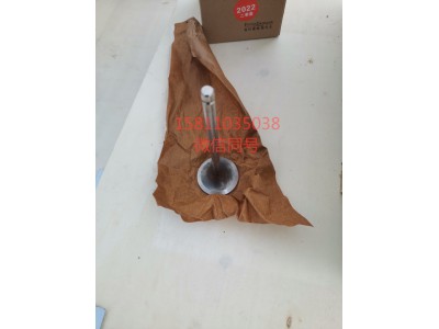 3697156,排气阀,北京远大汽车配件有限公司