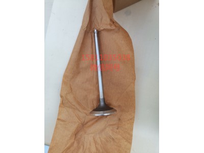 3697156,排气阀,北京远大汽车配件有限公司