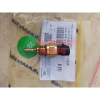 4954905水温传感器