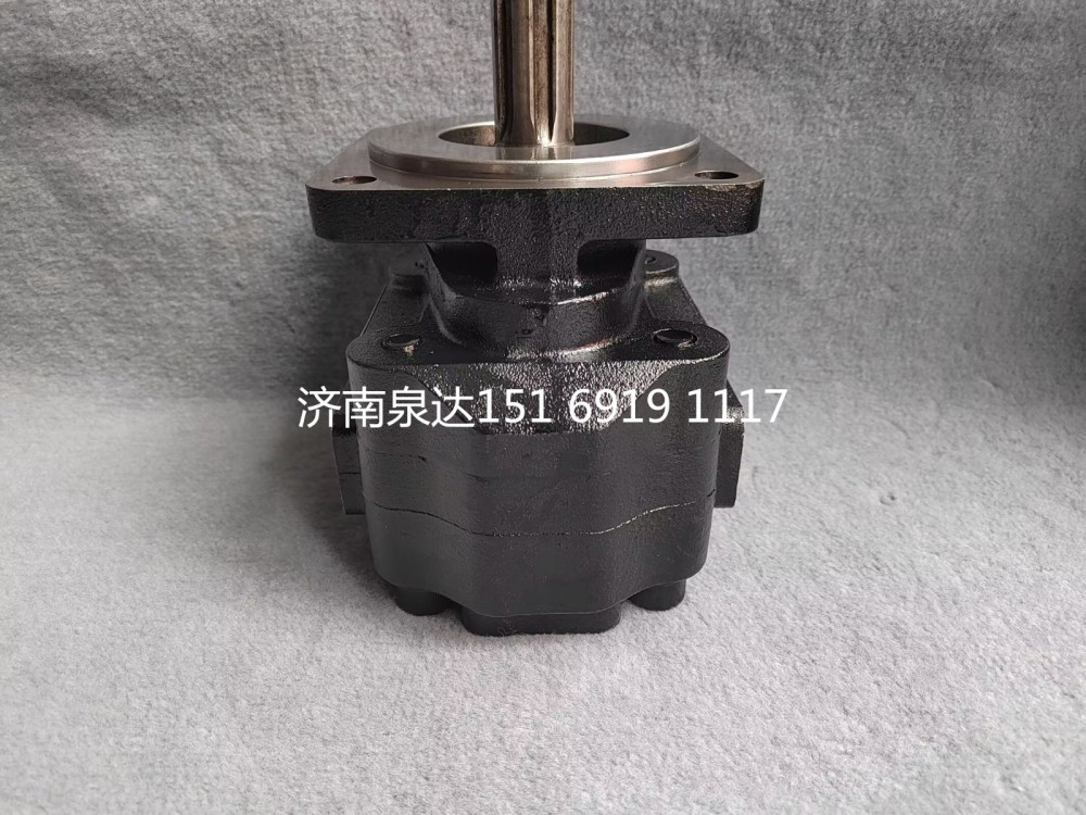 重汽豪威码头车牵引车齿轮泵总成液压齿轮油泵/TG53717300200