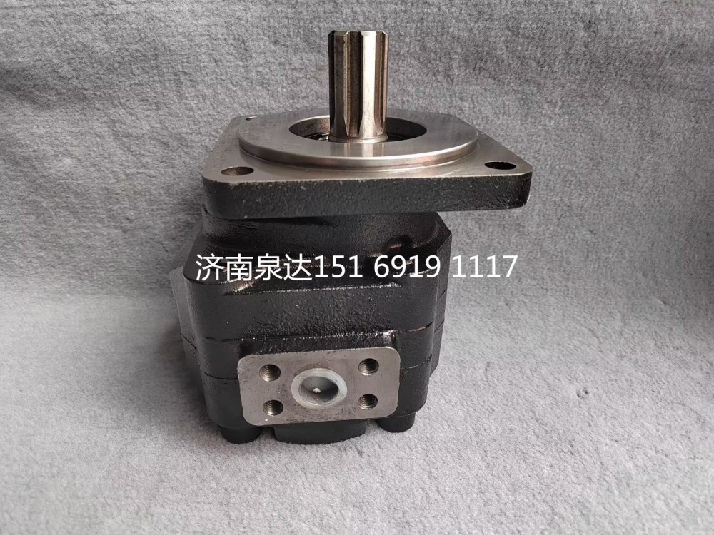 重汽豪威码头车牵引车齿轮泵总成液压齿轮油泵/TG53717300200