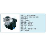 ZYB-1209R-636,A0024667601小車(chē)轉(zhuǎn)向泵系列
