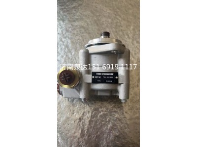 7684955955,转向助力泵,济南泉达汽配有限公司