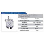 ZCB-0018R-426-1，5010600054-5001865396，DT6.26400汽車動(dòng)力轉(zhuǎn)向油泵，液壓泵，增壓泵，葉片泵