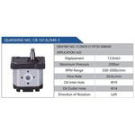 CB-1613L-949-3,512947851797305088381,A25汽車動力轉向油泵，液壓泵，增壓泵，葉片泵