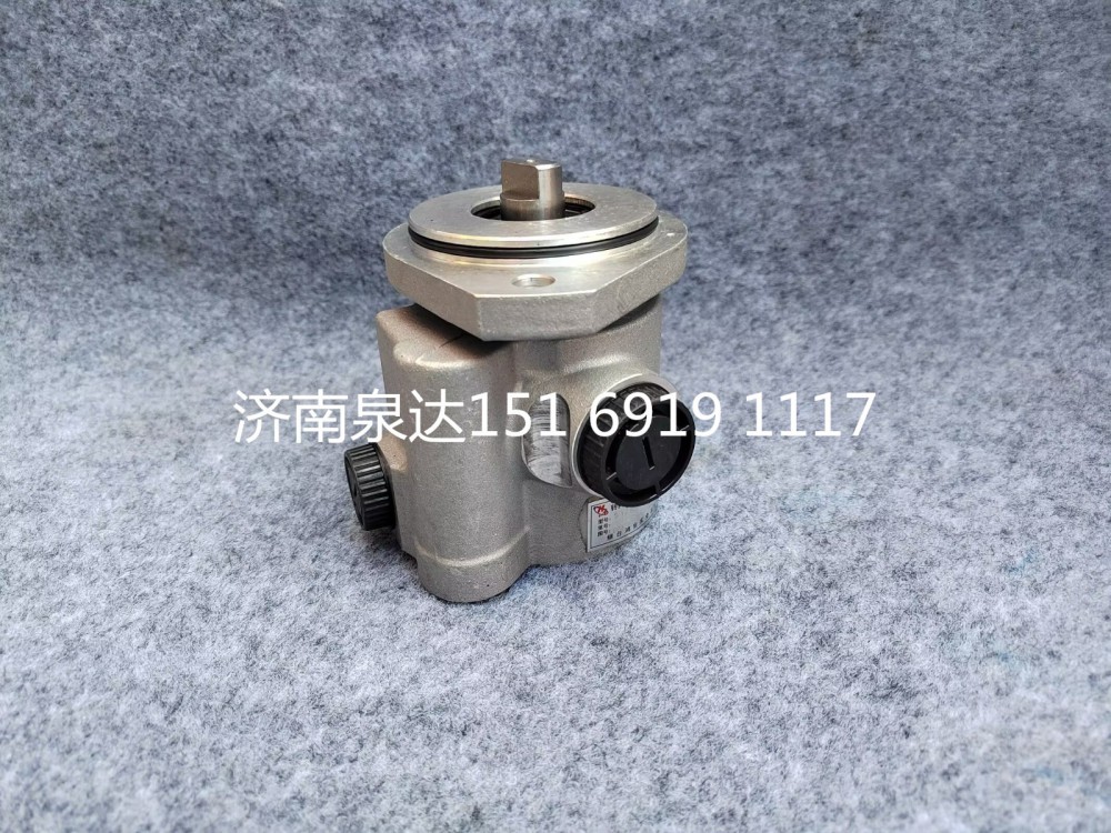 舒驰新能源客车电动液压助力泵电机泵转向泵叶片泵/0002160016