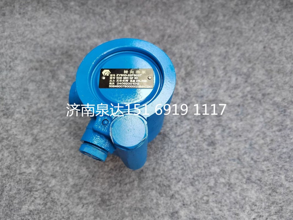 5064600780,转向助力泵,济南泉达汽配有限公司