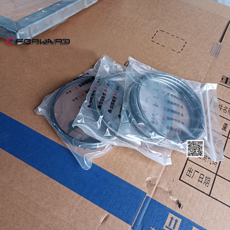 202V02503-0858  油环,Oil ring,济南向前汽车配件有限公司