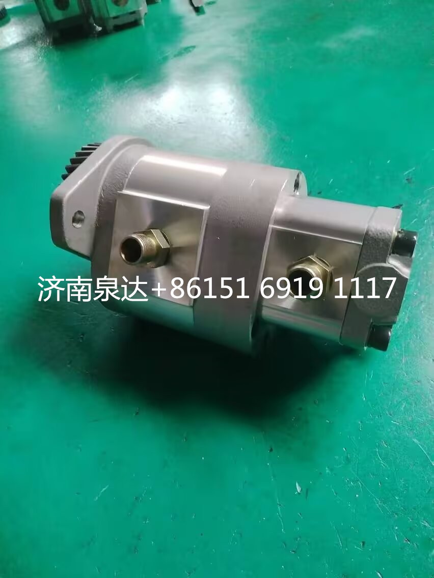 CB20-8-25-10-6BT,转向助力泵,济南泉达汽配有限公司