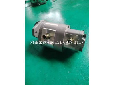 CB20-8-25-10-6BT,转向助力泵,济南泉达汽配有限公司